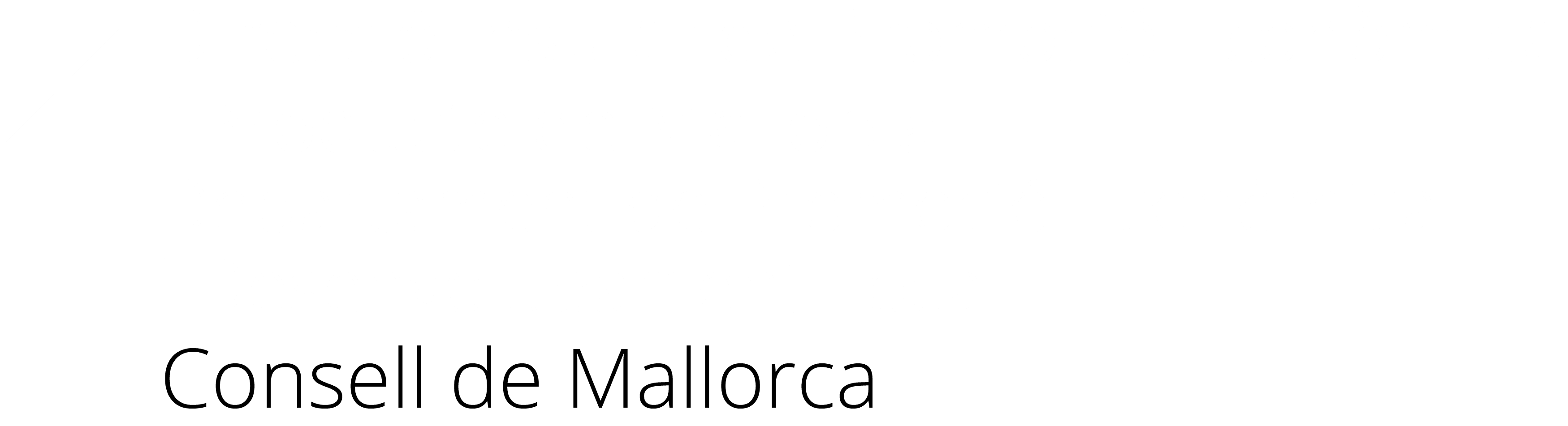 DI Promoció Econòmica i Producte de Mallorca Blanc2