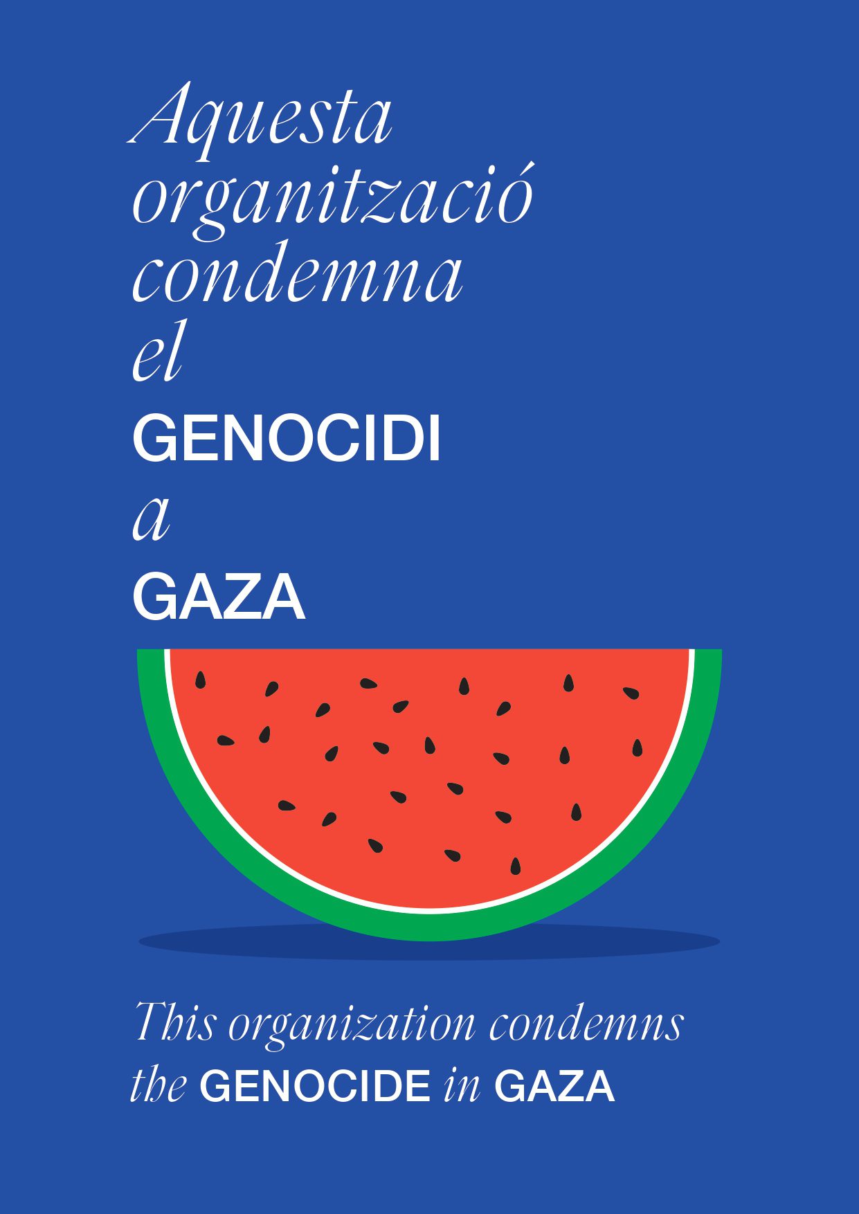 gaza organitzacio