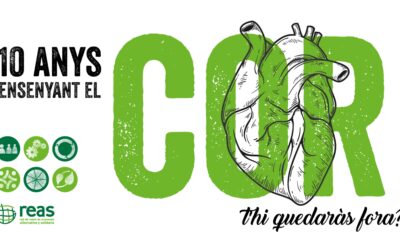 L’economia solidària de les Illes Balears ensenya el cor: mostram els resultats de l’auditoria social