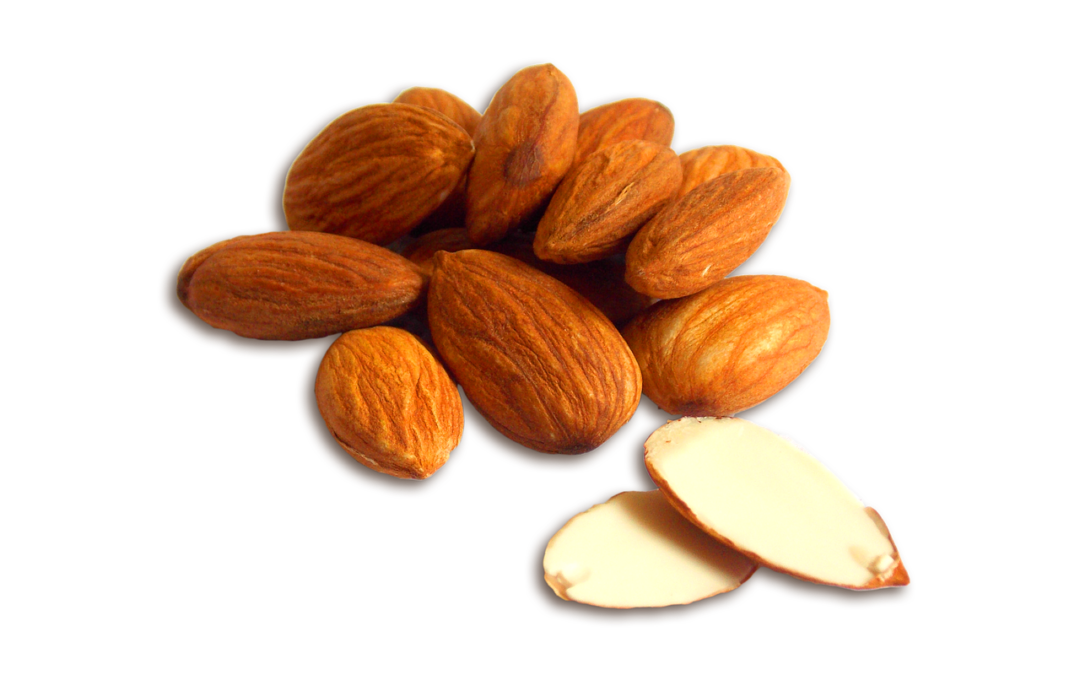 Sa Trencadora